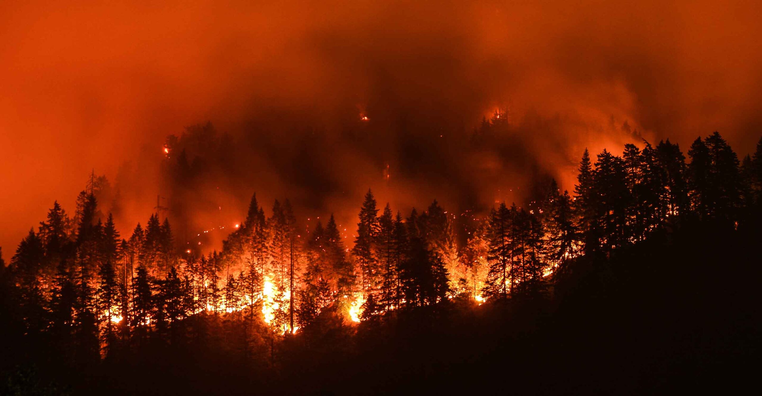 Virginia_Wildfires_Desktop